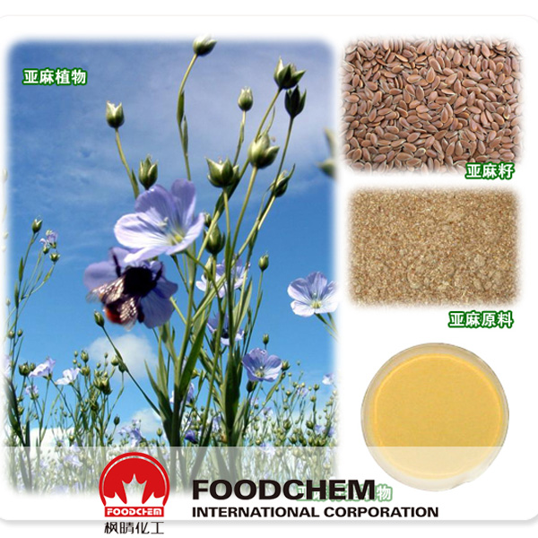 Flaxseed Extract